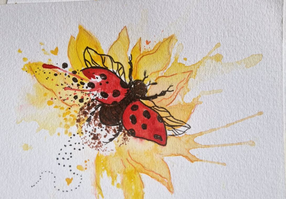 La Coccinelle & le Tournesol